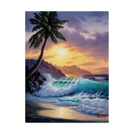 Anthony Casay 'Sunset Coast 7' Canvas Art,35x47